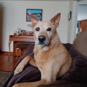 Meet your Posher, Shaun